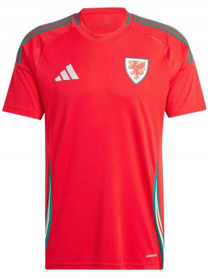 Wales home jersey soccer uniform men's first football kit sports top shirt Euro 2024 cup